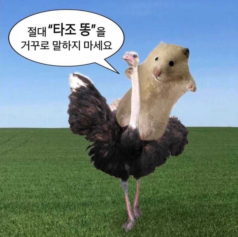 절대 거꾸로 말하지 마세요