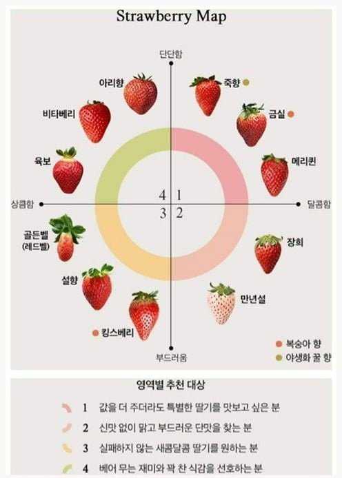 생각보다 다양한 딸기의 종류