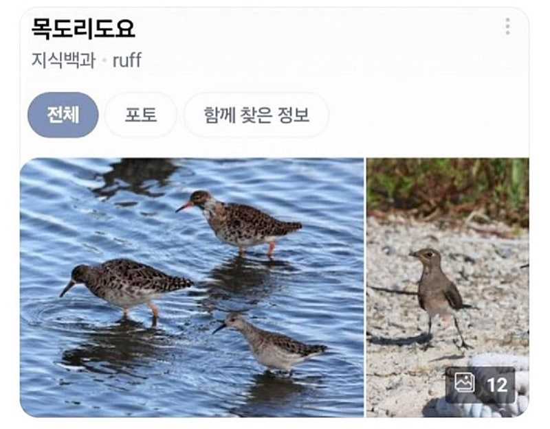 날도 추운데 겉옷 잘 챙겨입으세요 그리고