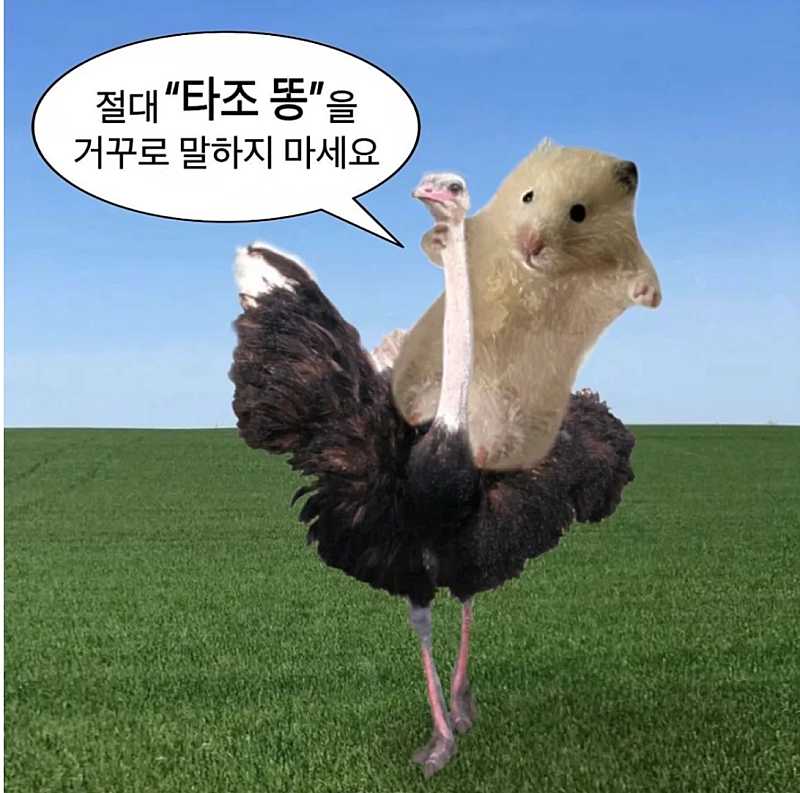 절대 거꾸로 말해선 안 되는 단어