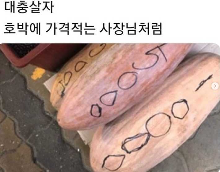 대충살자~